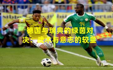 德国与瑞典的绿茵对决:战术与意志的较量